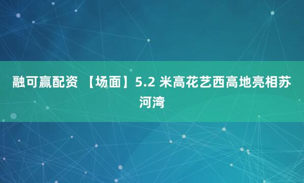 融可赢配资 【场面】5.2 米高花艺西高地亮相苏河湾